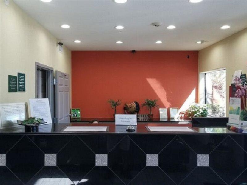 Vivo Living North
